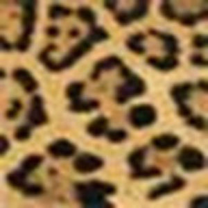 Meet your Posher, Linden